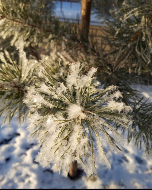 20201221_002023.jpg