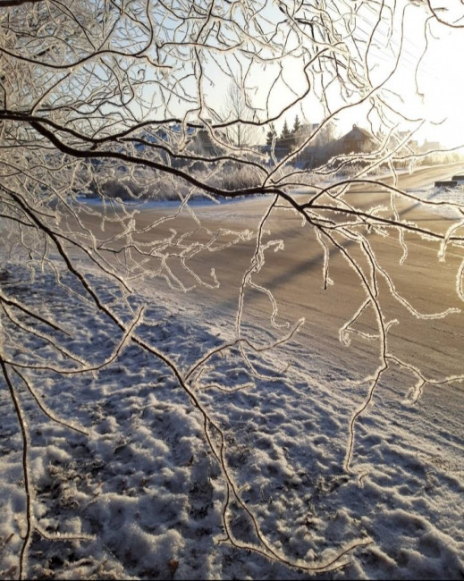 20201221_002039.jpg