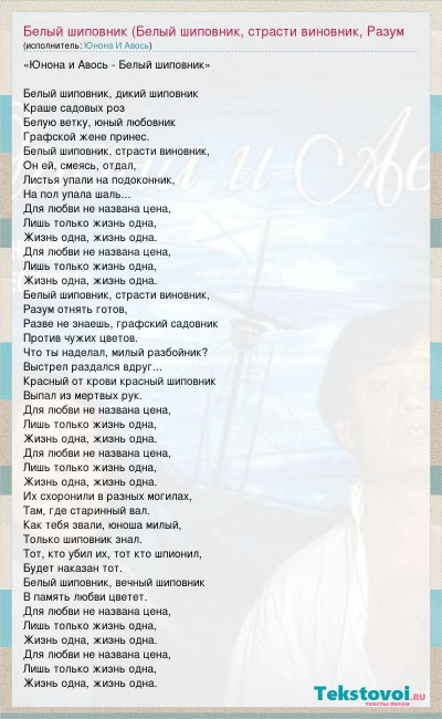 0900839_68232994p86184817_text_pesni_belyj_shipovnik_belyj_shipovnik_strasti_vinovnik.jpg