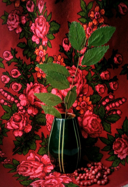 IMG_20210121_105929~2 (1).jpg