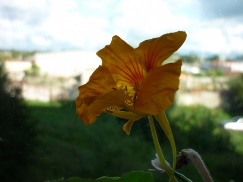 P1040326(1).JPG