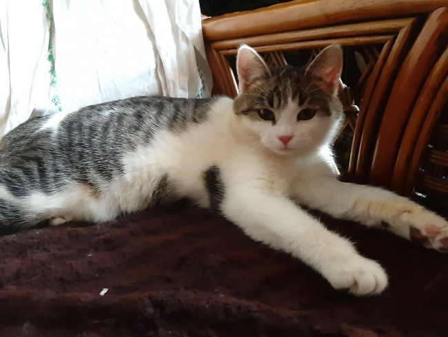 20201209_143609.jpg