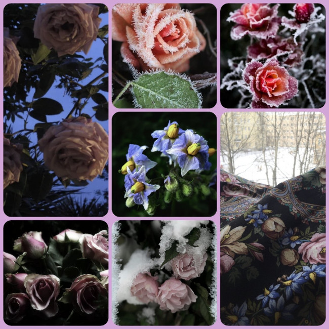 CollageMaker_20210214_175733376_resize_48.jpg