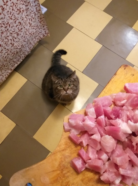 Мадам, я не ел шесть дней!