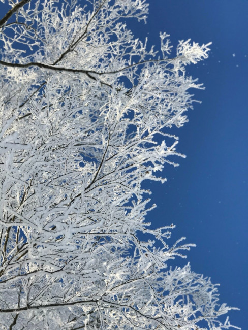 573956FB-BEAF-464B-B104-3F27F0D8E4E1.jpeg