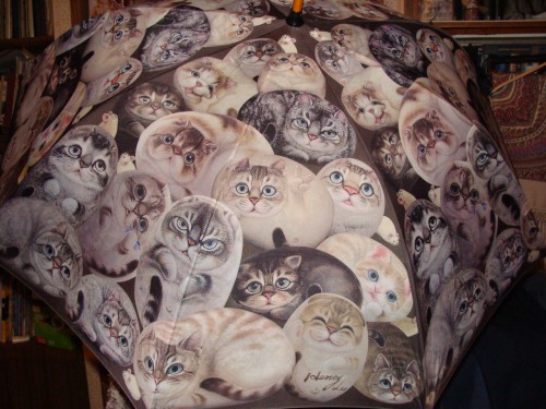 Я кошатница, отсюда и диагноз