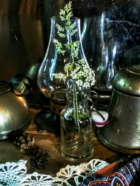 IMG_20210621_125834 (1) (1)~2.jpg