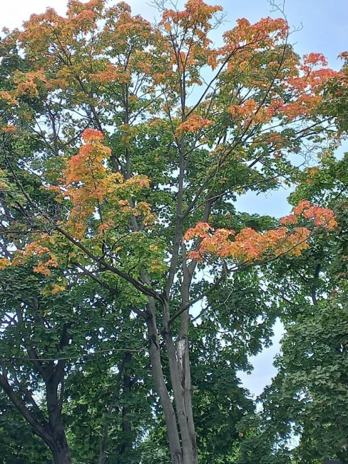 20210913_144701.jpg
