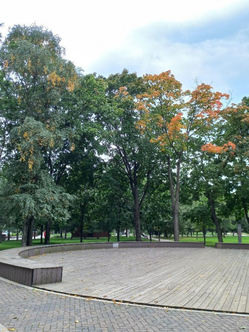 20210913_144627.jpg