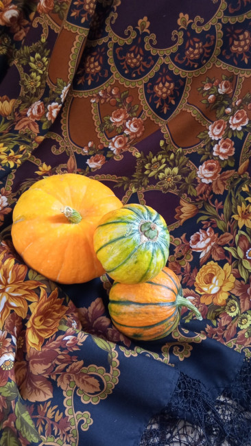 IMG_20210918_150809_resize_0.jpg
