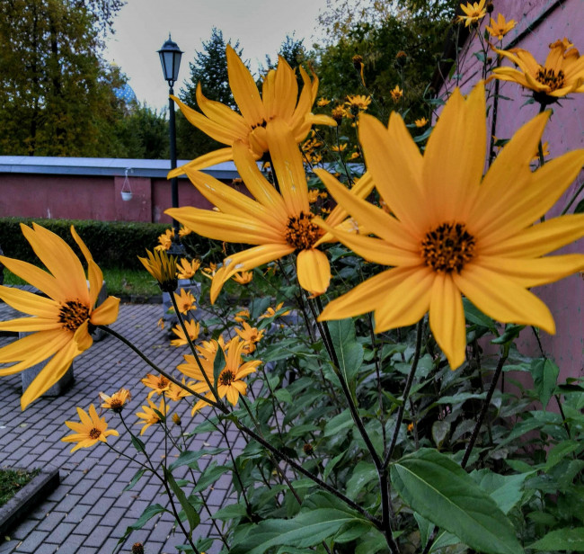 IMG_20210925_163813~2.jpg