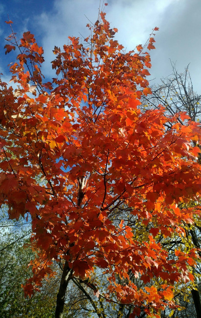 IMG_20211018_131103~2.jpg