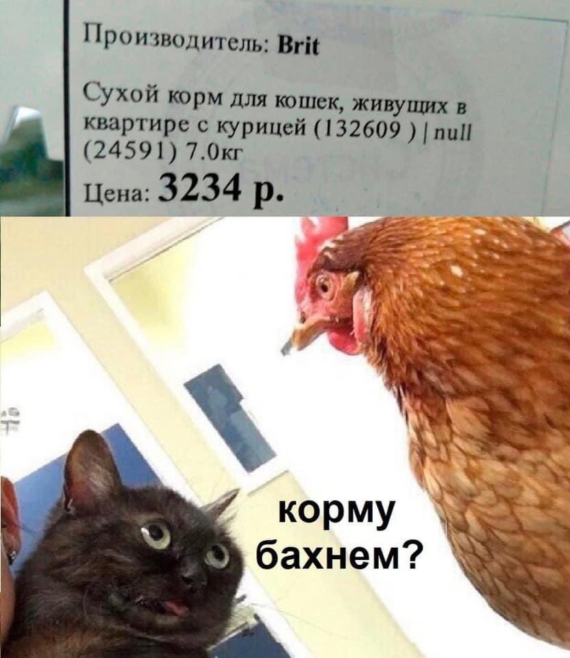 kDfEdSSGF28.jpg