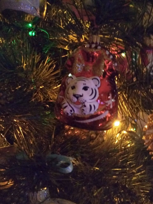IMG_20220101_210816_000.jpg