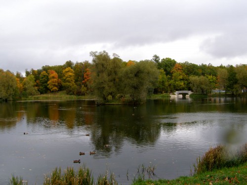 P9308544.JPG