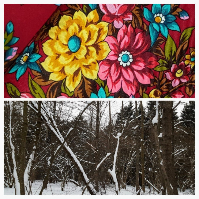 20220124_083701-COLLAGE.jpg