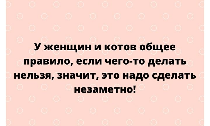 Screenshot_20220227-223406_Gallery.jpg