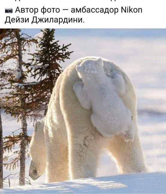 Screenshot_20220205-002931_Yandex.jpg