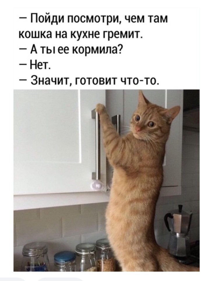20220328_085548.jpg
