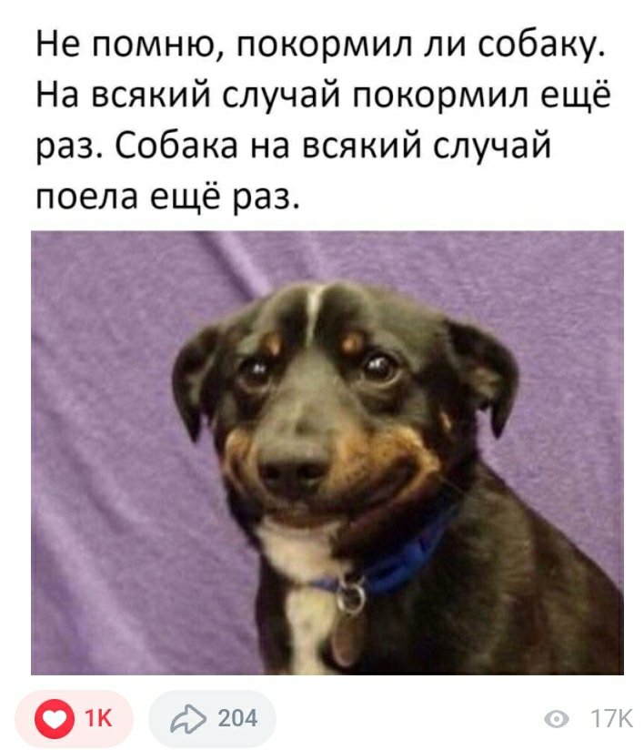 Screenshot_20220328-082037_Yandex.jpg