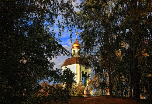 первое золото листьев.jpg