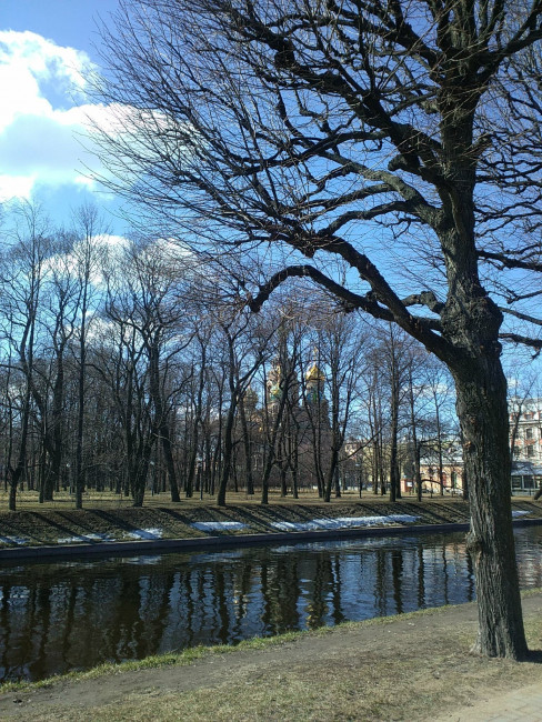 IMG_20220416_112209.jpg