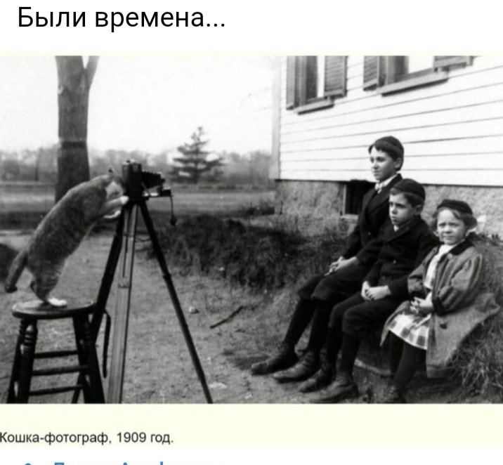Screenshot_20220516-124418_Yandex.jpg