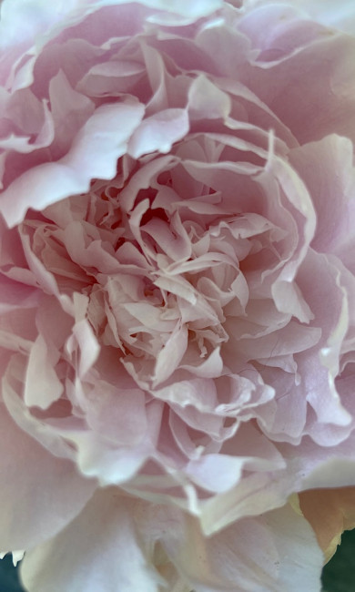 709B0AE5-247E-42BE-925F-163FC61D17E0.jpeg