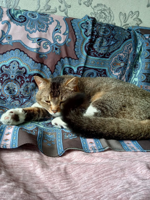 JPEG_20220720_175101_resize_52.jpg