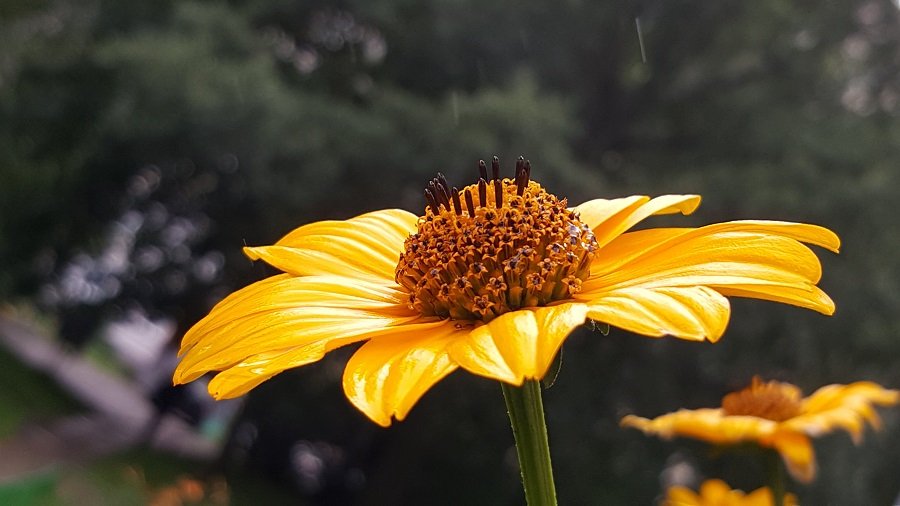 20220727_174817.jpg