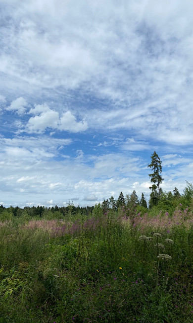 F1807457-0788-4D4D-B716-FF59E63D18FA.jpeg
