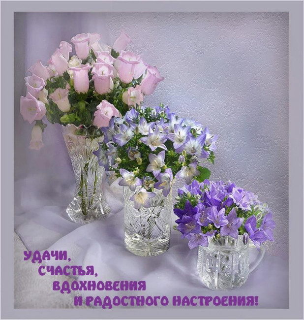 1A7D646D-7009-41D3-A06C-8BDAC4382326.jpeg