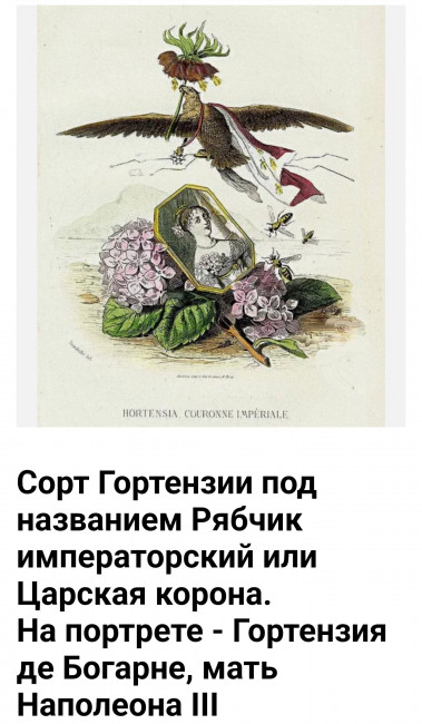 Screenshot_20220907-123955_Chrome.jpg