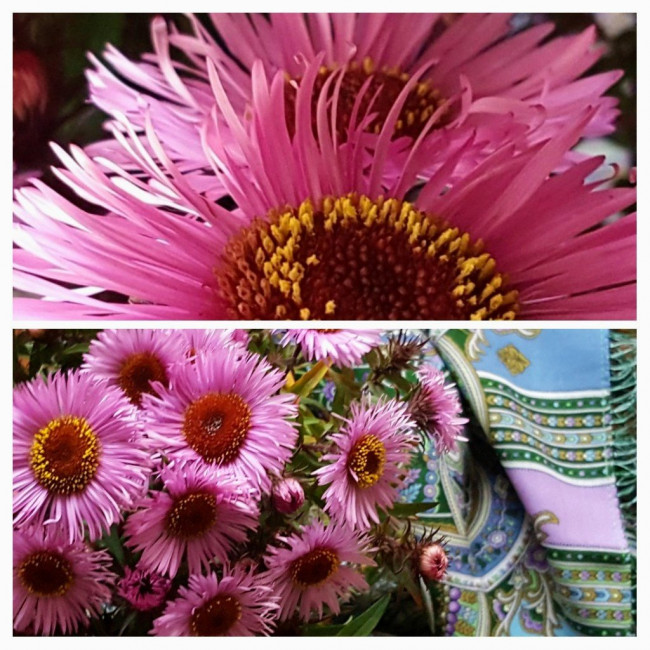 20211030_202609-COLLAGE~2.jpg