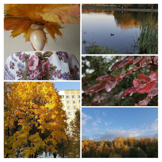 20221004_122127-COLLAGE.jpg