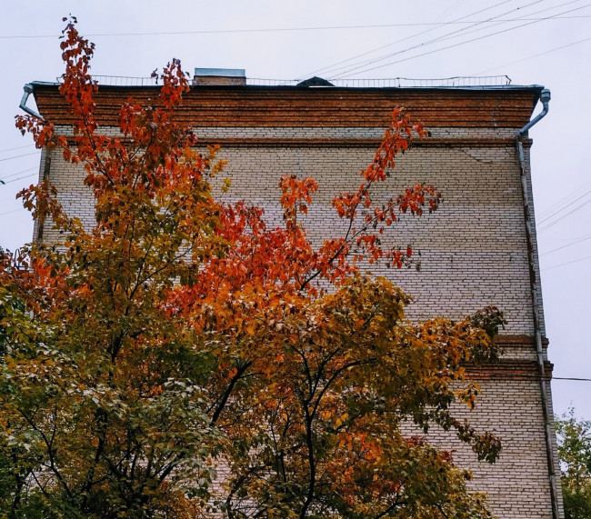 IMG_20221006_162137.jpg