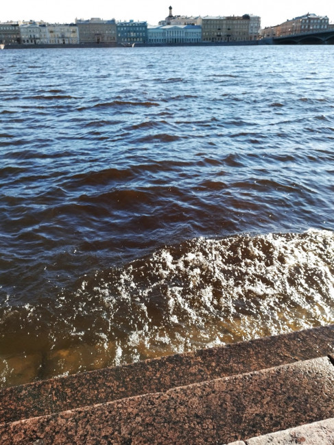 Нева