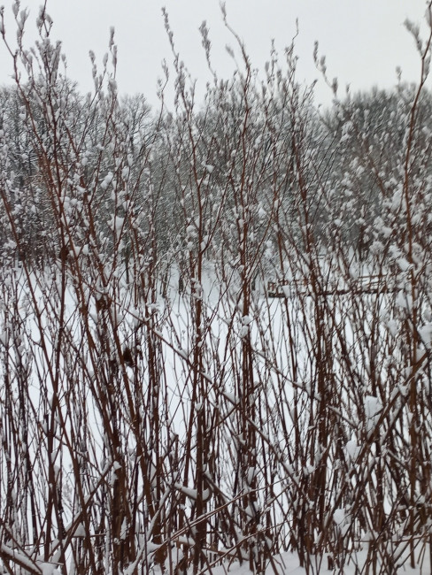 20221211_142907.jpg