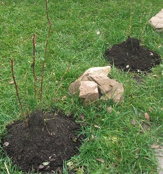 DSCF5163.JPG