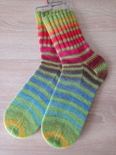 НОСКИ Laines du nord Paint sock.jpg