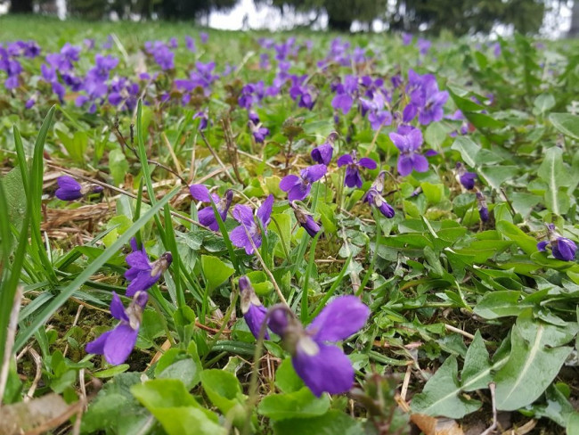 20230412_174506.jpg