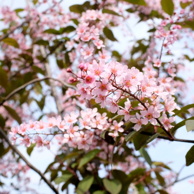 DSCF5730.JPG