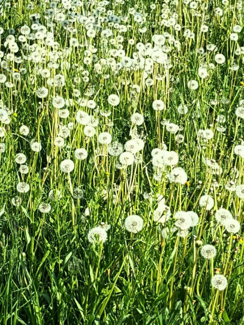 20230524_100105.jpg