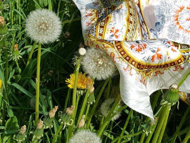 20230524_155711.jpg