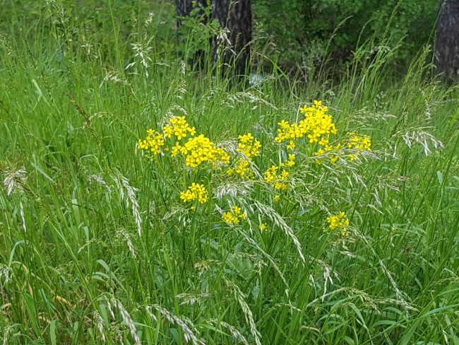 20230603_111153.jpg