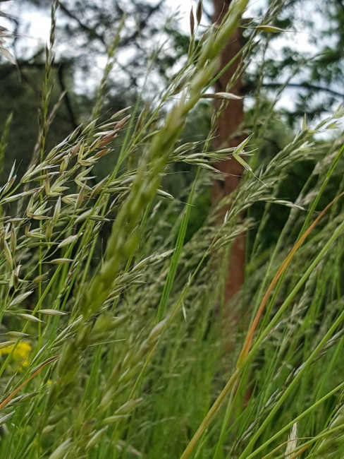20230603_111129.jpg
