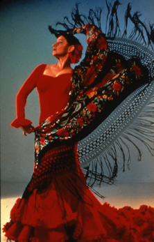 FlamencoWEB.png