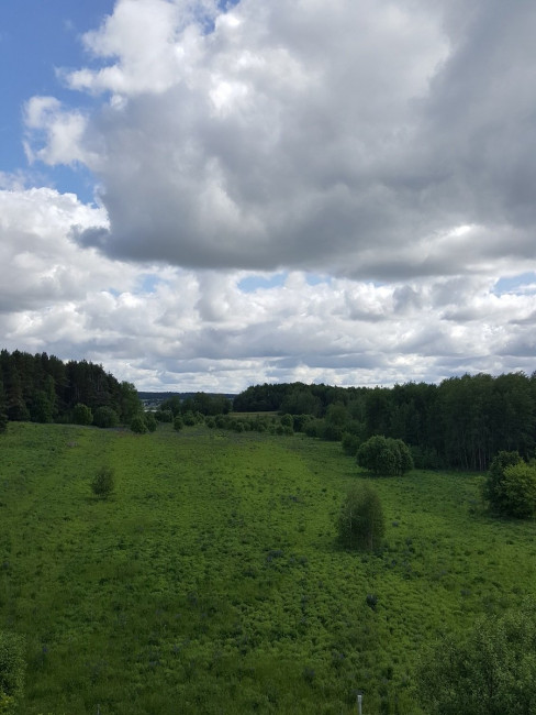 20230603_104357.jpg