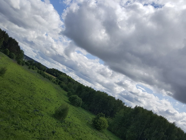 20230603_104536.jpg