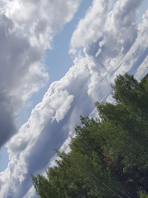 20230603_104729.jpg